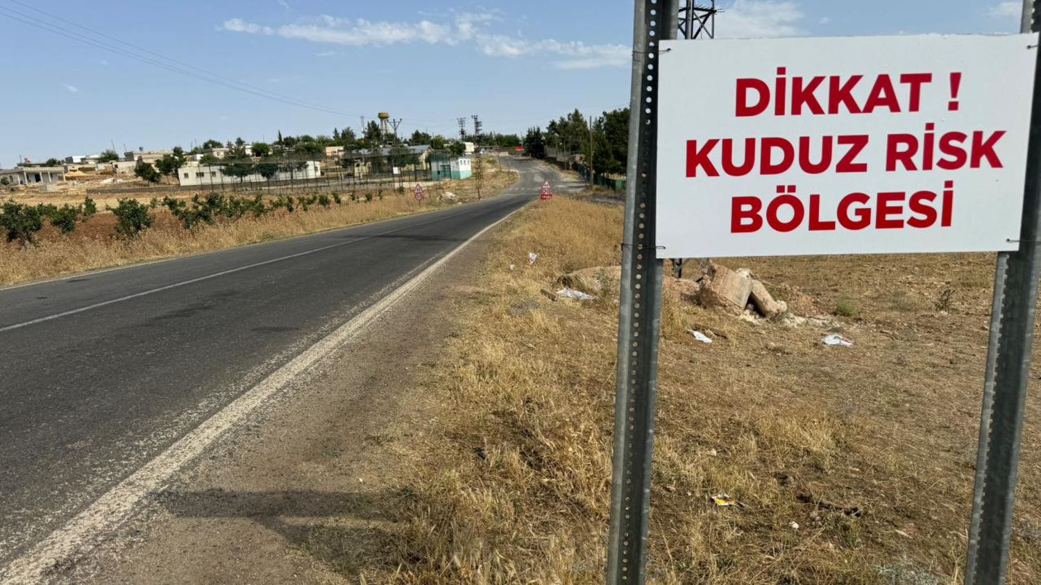 Dört mahallede kuduz karantinası